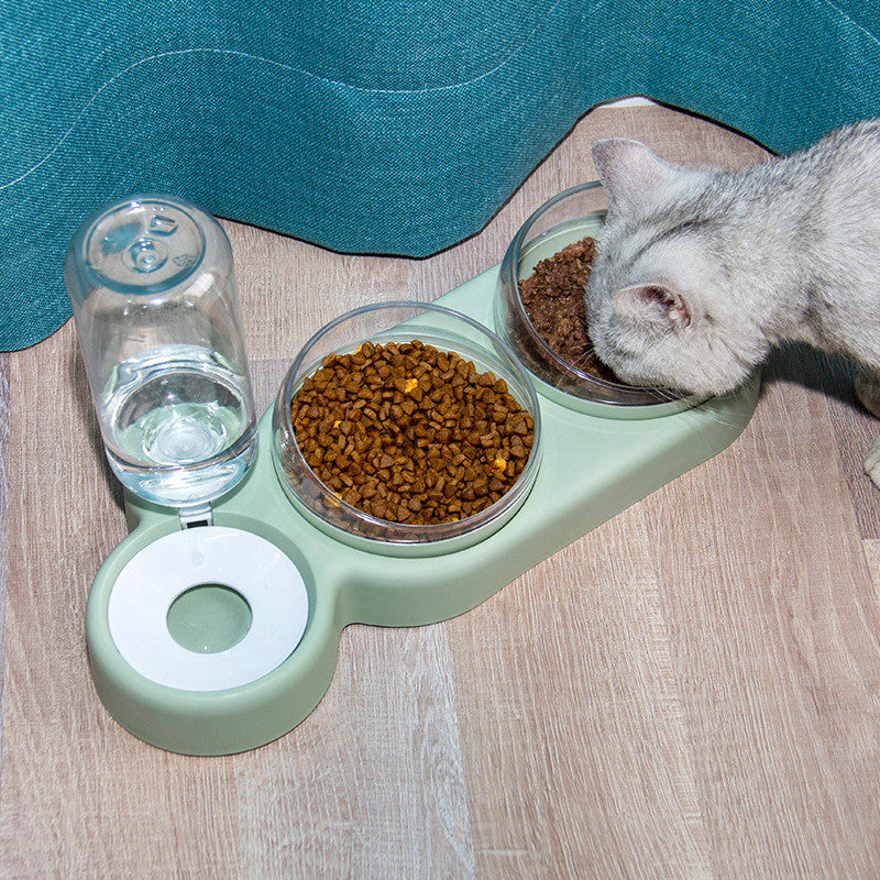 Raised Pet Feeder with Water Fountain