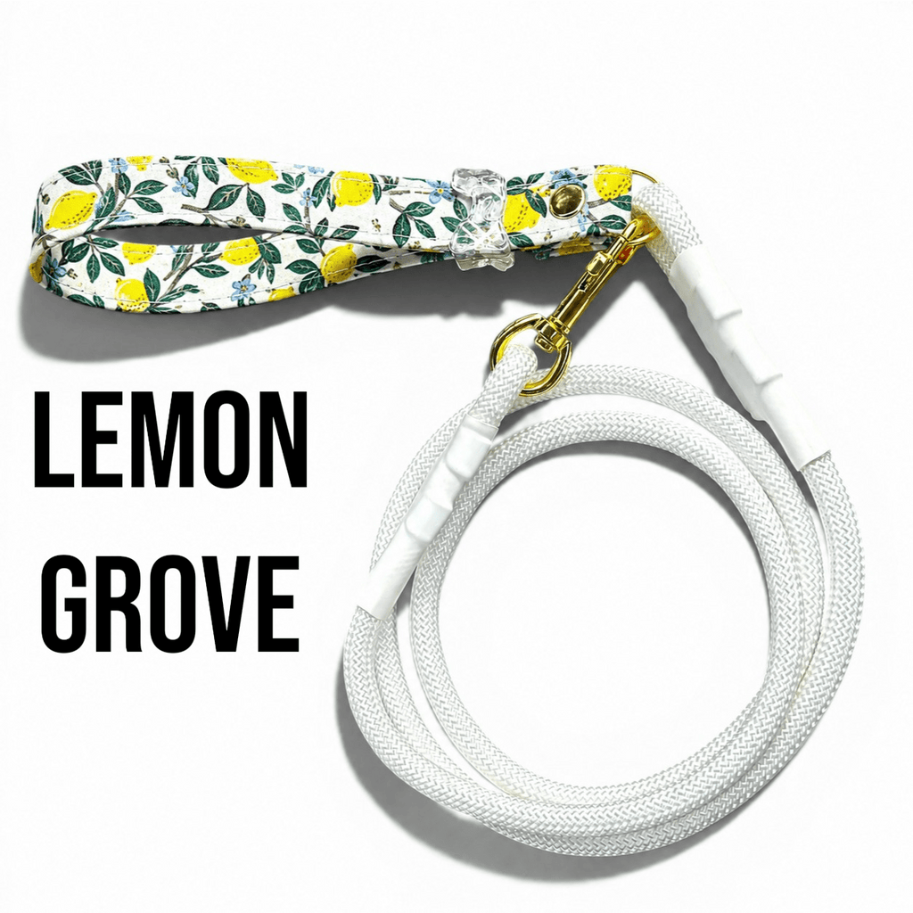 Classic Rope Dog Leash with Patterned Handle