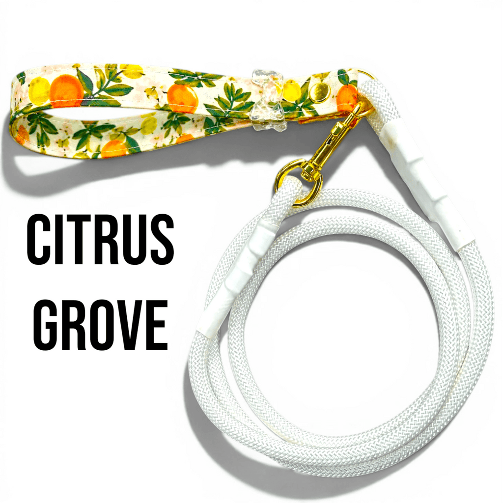 Classic Rope Dog Leash with Patterned Handle